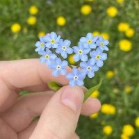 دختر ایرانم (@dokhtareiran65) 's Twitter Profile