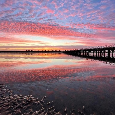 claire_7223's profile picture. Views my own, retweets not always.