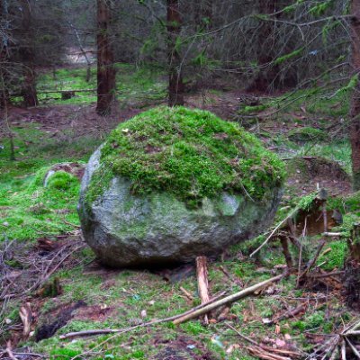 Rock169220 Profile Picture