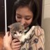 Tanka Jahari (@shibaltank) Twitter profile photo Tanka Jahari (@shibaltank) Twitter profile photo