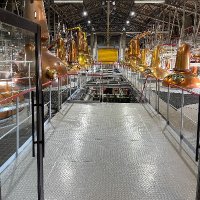 zebra45 (@zebra455) 's Twitter Profile