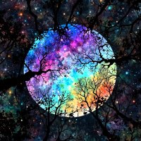 Trans Tree 🏳️⚧️ (@transtrees) 's Twitter Profile Photo Trans Tree 🏳️⚧️ (@transtrees) 's Twitter Profile Photo