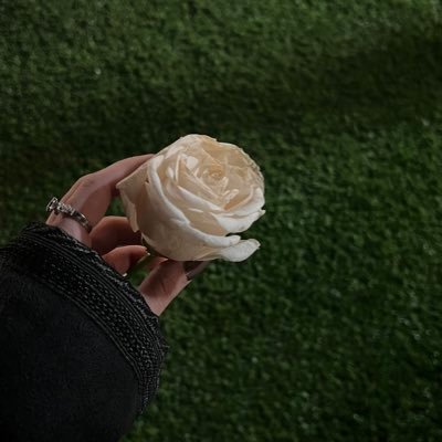 fal881's profile picture. أنا آخر لسان يتكلم في زمان الثرثره