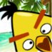 Chuck (@chuckspeeddemon) Twitter profile photo Chuck (@chuckspeeddemon) Twitter profile photo