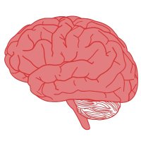 NYU Langone Neuromodulation Lab (@nyuneuromod) 's Twitter Profile Photo NYU Langone Neuromodulation Lab (@nyuneuromod) 's Twitter Profile Photo