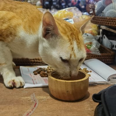 Vincento9527123's profile picture. 