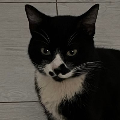 anissa96806249's profile picture. 🇩🇿