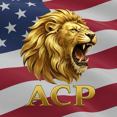 ACPofAmerica's profile picture. There are only 2 sides. Anti-Corruption and Pre-Existing Corruption.

AMERICA 1ST, 2ND AND 3RD! 
EVERYONE ELSE GET IN LINE!
