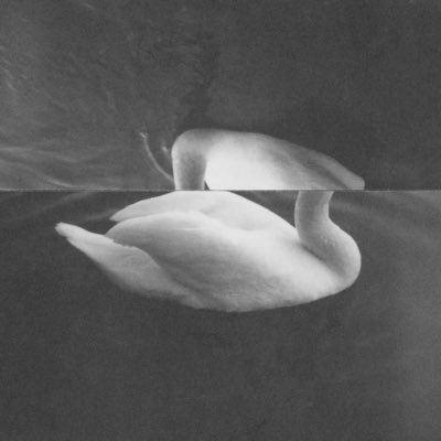 Artist, Photographer. Studio based in Trafalgar Square, Central London.