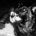 skillets (@skillets_w0nder) Twitter profile photo skillets (@skillets_w0nder) Twitter profile photo