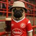 Fortuna Geschwor‘n❤️🤍 (@fortuna1895_) Twitter profile photo Fortuna Geschwor‘n❤️🤍 (@fortuna1895_) Twitter profile photo
