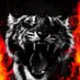 Mahmoudzahyak (@itman2018) Twitter profile photo Mahmoudzahyak (@itman2018) Twitter profile photo