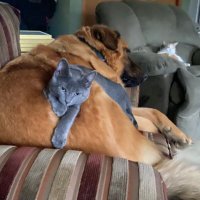GosforthGal (@gosforthgal) 's Twitter Profile