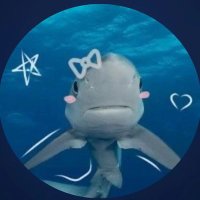 Addi Serwe (@addi_serwe764) 's Twitter Profile