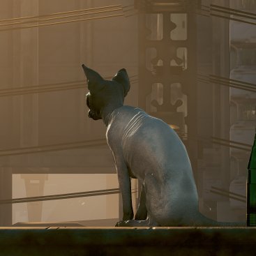 HuangBFG's profile picture. Buehno