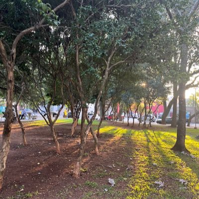 mathlovers0's profile picture. 