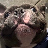 devin (@devinjohns23496) 's Twitter Profile