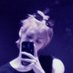 ayla ☆ (@chae1roll) Twitter profile photo ayla ☆ (@chae1roll) Twitter profile photo