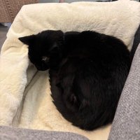 Margot (@marspill) 's Twitter Profile