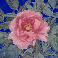 ‏زَهْراء 🇵🇸 (@zahraa_195) Twitter profile photo