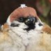 CrimsonBat (@crimson0bat) Twitter profile photo CrimsonBat (@crimson0bat) Twitter profile photo
