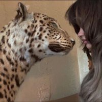 meme (@22_meme1) Twitter profile photo