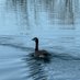 Leigh Ann Fowler (@fowl56365) Twitter profile photo Leigh Ann Fowler (@fowl56365) Twitter profile photo