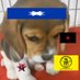 cachorro libertário da silva🇨🇩🇸🇩 (@per1fer1cogamer) Twitter profile photo cachorro libertário da silva🇨🇩🇸🇩 (@per1fer1cogamer) Twitter profile photo