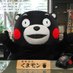 纽约熊本熊 (@kumamoninnyc) Twitter profile photo 纽约熊本熊 (@kumamoninnyc) Twitter profile photo