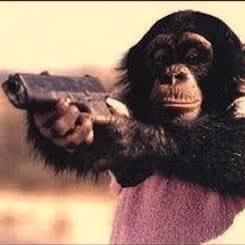 nihonshikipann's profile picture. cod垢兼日常呟き垢 名前コロコロ変わります