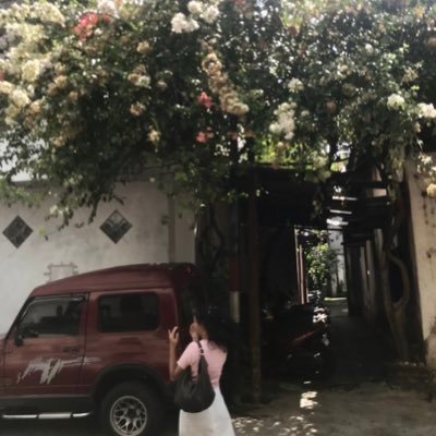 citic0line's profile picture. 