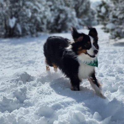 D_Star79's profile picture. 