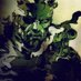 JustSomeone iguess (@justs0me01) Twitter profile photo JustSomeone iguess (@justs0me01) Twitter profile photo
