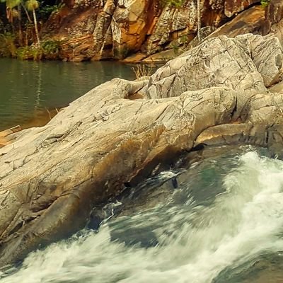 liamkday's profile picture. dolo