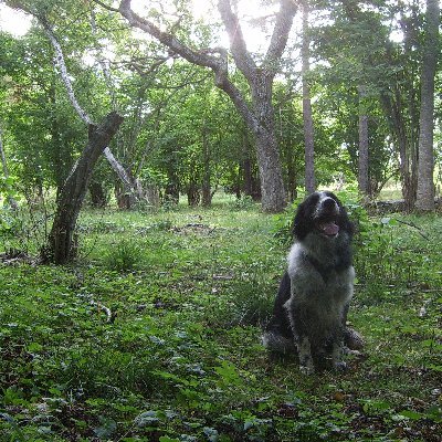 marten_sorby's profile picture. The sexiest, most intelligent person you've never met.