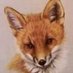 Fox Hu (@greatrain73) Twitter profile photo Fox Hu (@greatrain73) Twitter profile photo