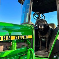 👣 Barefoot’n Farmer 👣 🇺🇸🚤🇺🇸 (@5150farms) 's Twitter Profile Photo 👣 Barefoot’n Farmer 👣 🇺🇸🚤🇺🇸 (@5150farms) 's Twitter Profile Photo