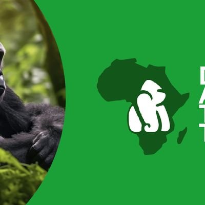 For best in class tailor made safaris in Uganda, Rwanda, Kenya and Tanzania