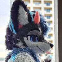 Zev | 泽临 (@zevrim_fen) 's Twitter Profile