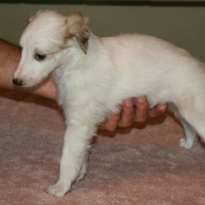 cgnlv's profile picture. 