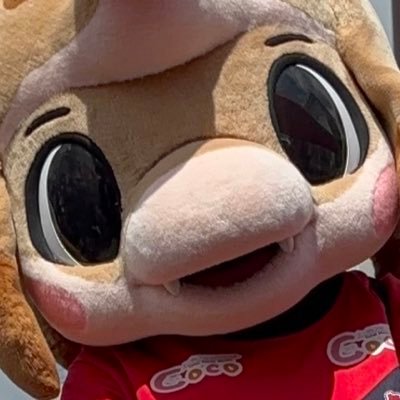 kawakaragyoza's profile picture. がんばれいわきFC🦕