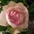 yuko_s_'s profile image
