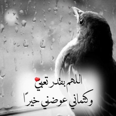 ممنوع الخاص رجاءً ……………………………………. لو أن الحب كلمات تكتب .. لانتهت أقلامي .. لكن الحب أرواح توهب .. فهل تكفيك روحي ؟