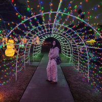 Jamie (@jluvsnickjncy) 's Twitter Profile