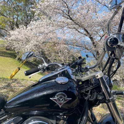 shu_hrn223's profile picture. 1998