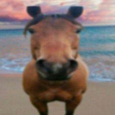 TikTok: @omgireallylovecats |
MY GF IS @Ace033068542654 💋🫶🏻💐 |
IM A LESBIAN, I MAKE ART, AND IM AWESOME SAUCE 😎😋😋