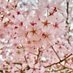 祈里(取引用垢) (@peperrpepe) Twitter profile photo 祈里(取引用垢) (@peperrpepe) Twitter profile photo