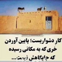 ایرانیم.منم پادشاهی خواه. یارقدیمی (@mhmddywany20772) 's Twitter Profile
