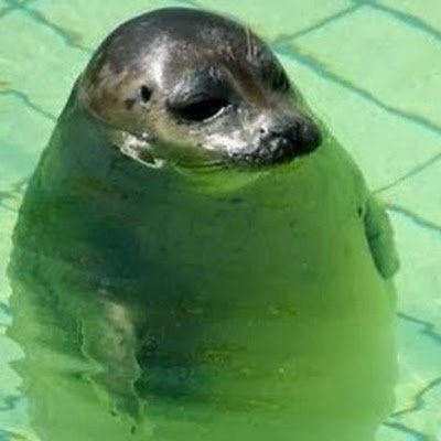 RichardGong820's profile picture. 