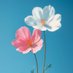Sakeena (@sakish85) Twitter profile photo